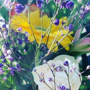 Meet your Posher, Miraya